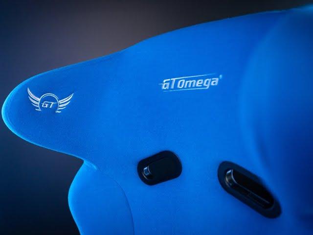 Limited Edition | Blue Inertia and Chase Bucket Seats