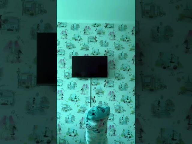 АХАХАХАХАХ