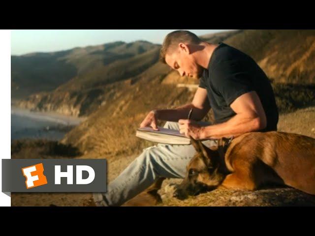 Dog (2022) - Adopting Lulu Scene (10/10) | Movieclips