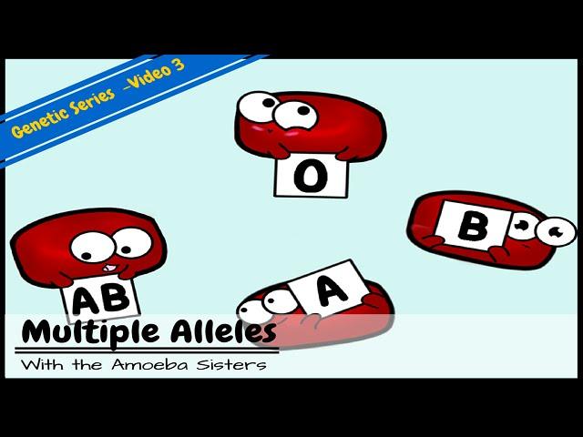 Multiple Alleles (ABO Blood Types) and Punnett Squares