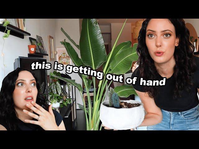 Chaotic Apartment Gardening *I HAVE TOO MANY PLANTS*