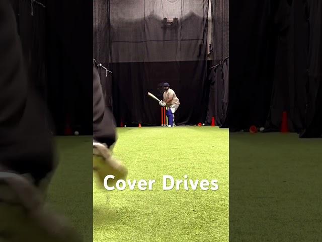 Cover Drives