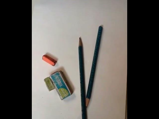 Sketch Short / Pencil Sketch / RV Creation / Customised