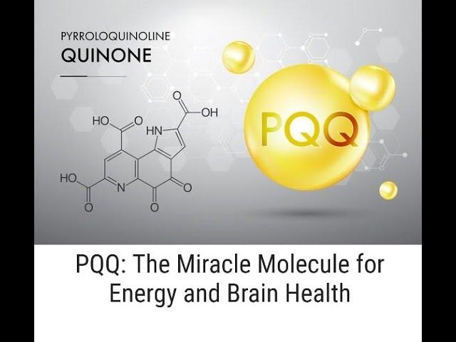 PQQ: The Miracle Molecule for Energy and Brain Health