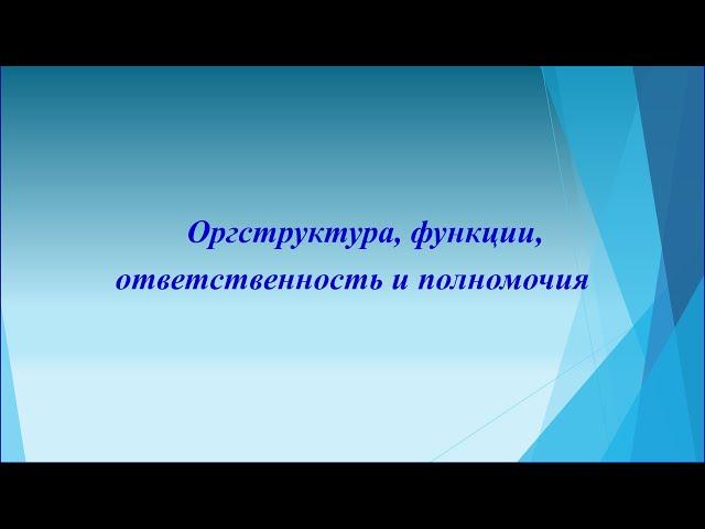 Организационная структура, функции, ответственность и полномочия
