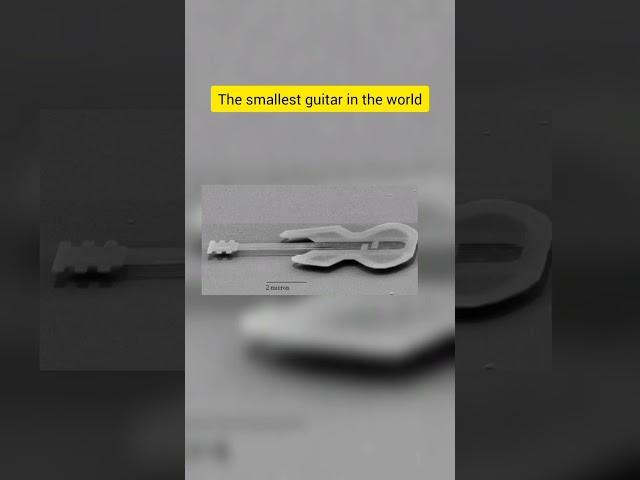 The smallest guitar in the world...#shorts #top3fact #facts #topchannel