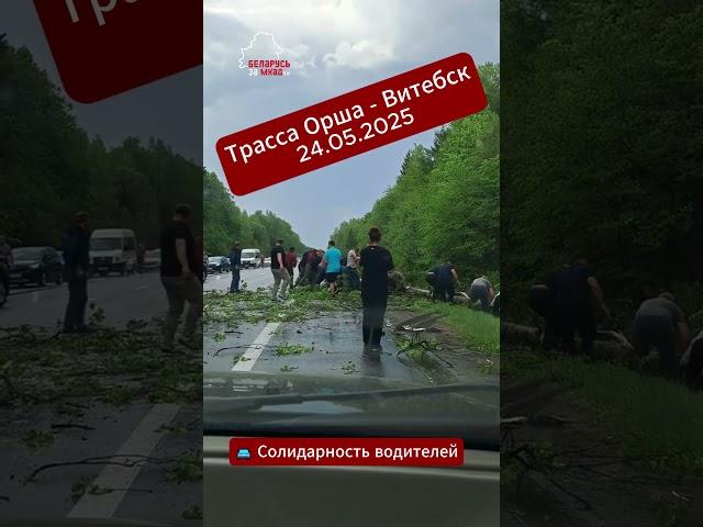 #Солидарность беларусских водителей в действии #беларусь #дорога #авто #авария #дальнобой #помощь