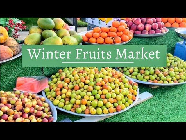 Winter Fruits Market | Fresh Fruits | Wholesale Fruit Market | Exploring Kuwait 