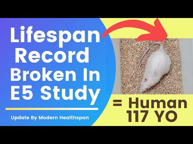 Lifespan Record Broken In E5 Study