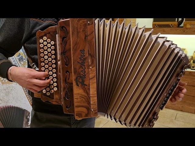 Puschtra Harmonika "Die Dorffestpolka"