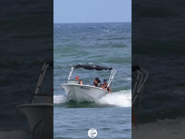 The thought did cross their mind - but left really quick | Boca Inlet #boatlife #boating #summer