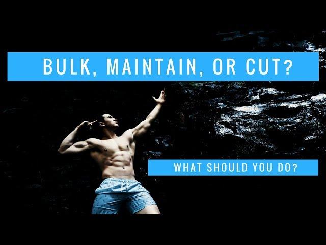 SHOULD YOU BULK, CUT, OR MAINTAIN? | Evaluating yourself w/ Alan Jaramillo