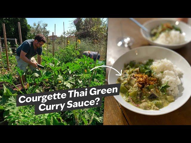 Making a Simple Thai Green Courgette Curry Sauce