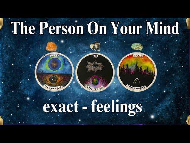 THE PERSON ON YOUR MIND (exact-feelings)  #timeless Tarot Psychic Reading!