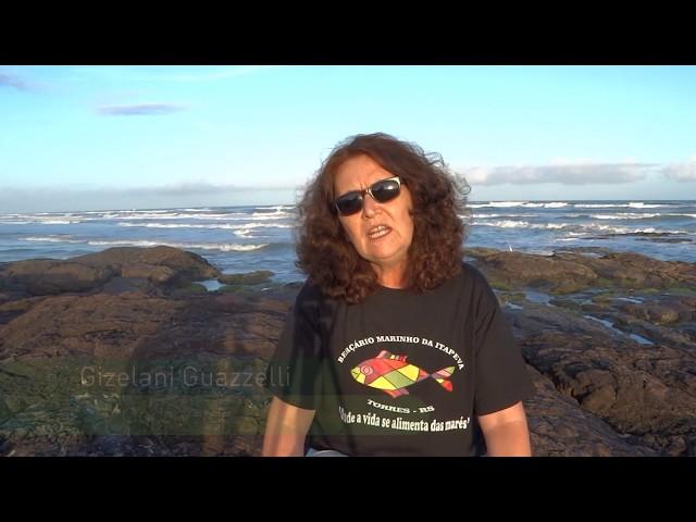 Refúgio de Vida Silvestre Ilha dos Lobos - Formação de Conselho Gestor