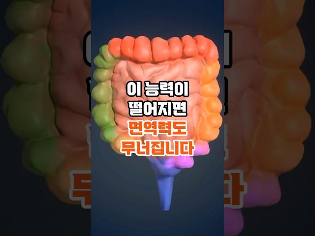 이 능력이 떨어지면 면역력도 무너집니다 #건강정보 #건강관리 #소화불량 #면역력 #루틴관리 #웰니스루틴
