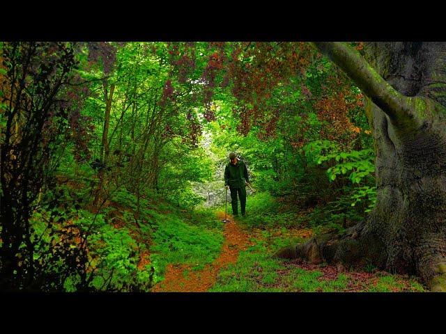 Digging up LOST VALUABLES on an ancient fairytale path! Metal Detecting Germany Nr.199