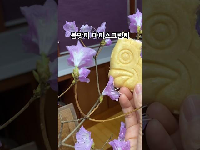 봄에 먹어야하는 딸기 붕어싸만코