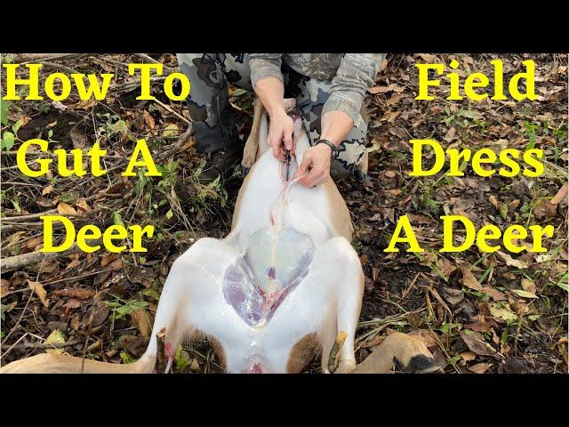 How To Field Dress A Deer | Gut A Deer