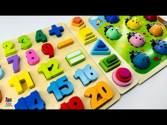 Best Learn Shapes, Numbers & Counting 1 to 20 | Preschool Toddler Learning Toy Video