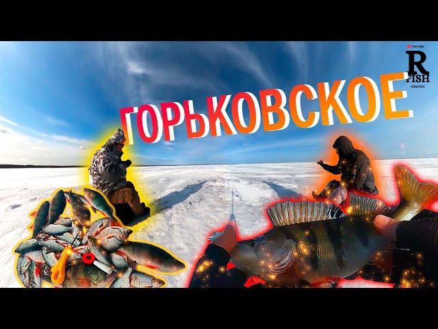 Секретная точка спасла рыбалку! Тут клюет на все! Горе Море, Обжериха