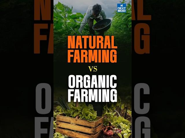 Organic Farming vs. Natural Farming: What's the Difference? #gogreen #backtobasics
