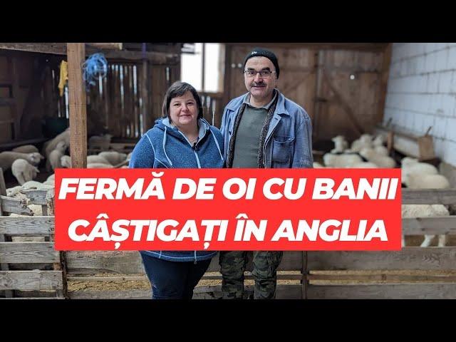 Soții Merlușcă și-au făcut fermă cu banii câștigați în Anglia