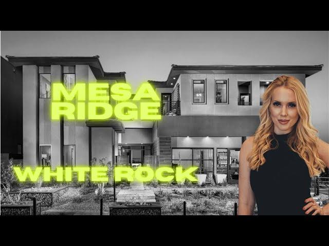 Las Vegas Luxury Realtor shows you the hottest high end new construction!