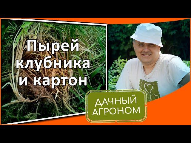 Как мы избавляемся от сорняков 5 ПРОСТЫХ ПРАВИЛ Дачного агронома