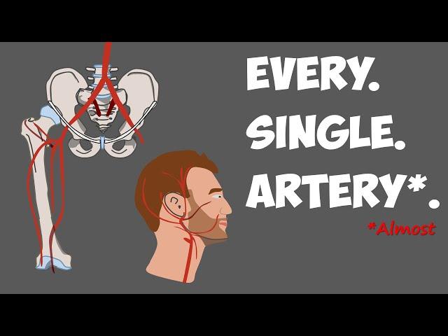 Every Artery in the Human Body