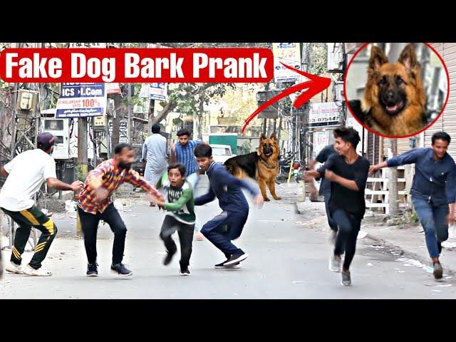 Fake Dog Bark Prank @ThatWasCrazy