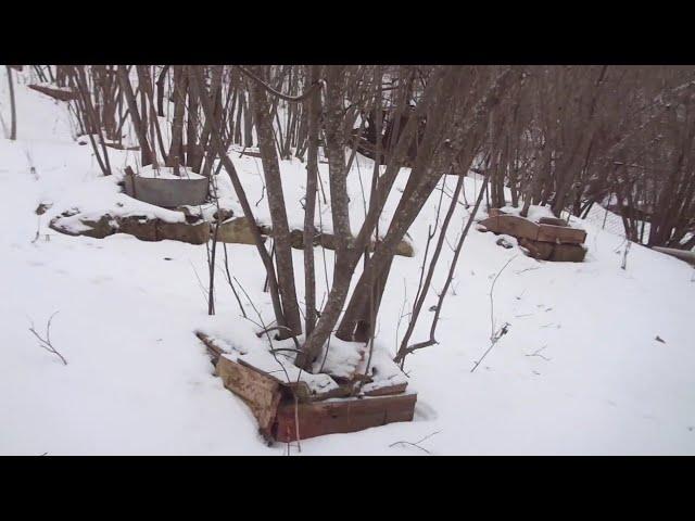 Кто вы, доктор Винтер? Ответ хлопцю з садка коло хати. Ч.1