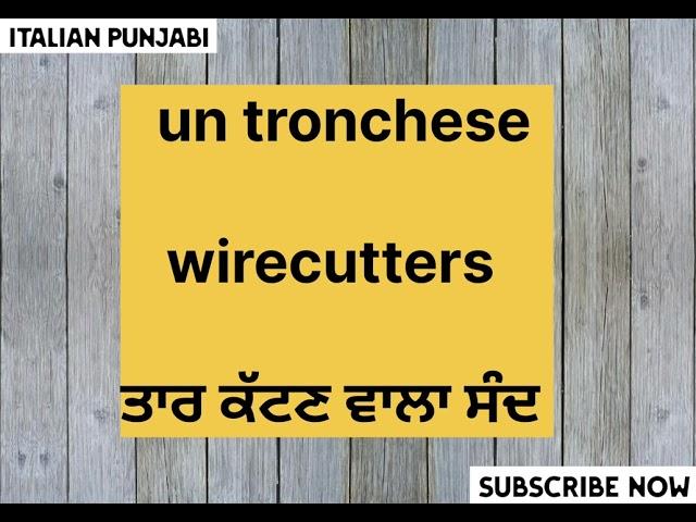 LearnItalian Language In Punjabi ||Sentences (DailyUses EasyWords) #italianlanguagelearning #study