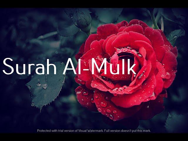 Quran Recitation: Surah Al-Mulk by Abu Bakr Al-Shatri