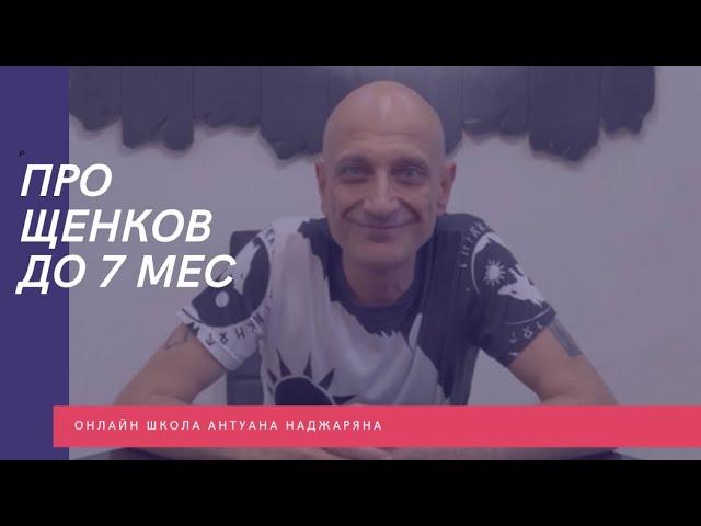 Про щенков до 7 мес