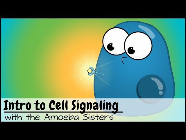 Intro to Cell Signaling