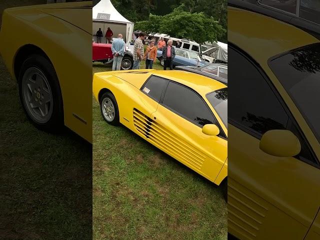 Here is the video POV of photographing this beautiful Ferrari.