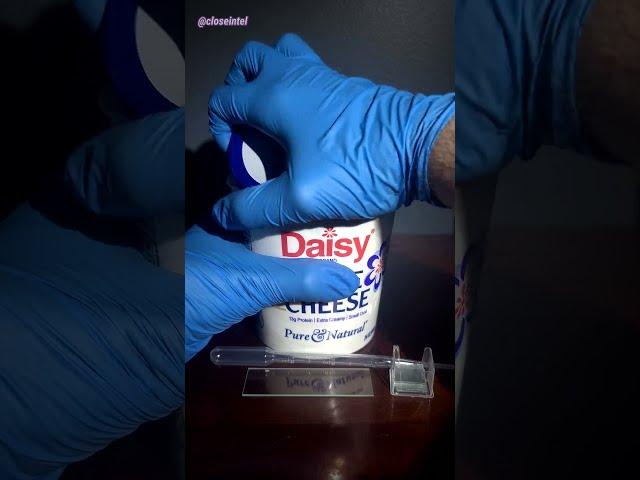 Cottage Cheese Under Microscope (Bacteria/Probiotics)