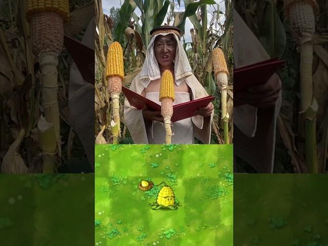 PVZ Plants in real life 