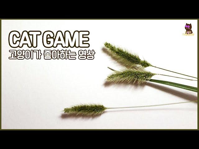 Cat game for your cat! (Grass)