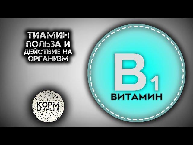 Тиамин (Витамин B1). Польза и действие на организм.