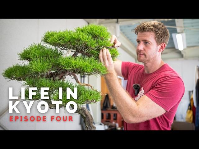 Ep. 4 The Process of Building a House in Japan | Life in Kyoto