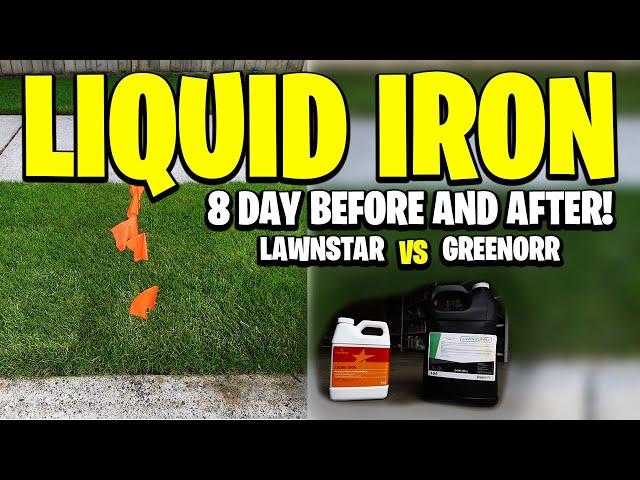 Liquid Iron Shootout! 8 DAYS BEFORE AND AFTER! LawnStar Chelated VS Lawn Supply Company GREENORR