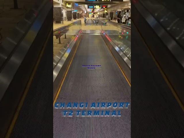 Changi Airport T2 Terminal || Ankur Sharma Vlogs #shorts #trending #changiairport #singaporeairport