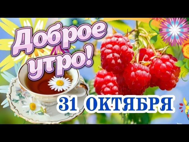 Доброго утра и ещё лучшего дня! ️ Доброго утречка Вам! Самые теплые пожелания с Добрым утром! 