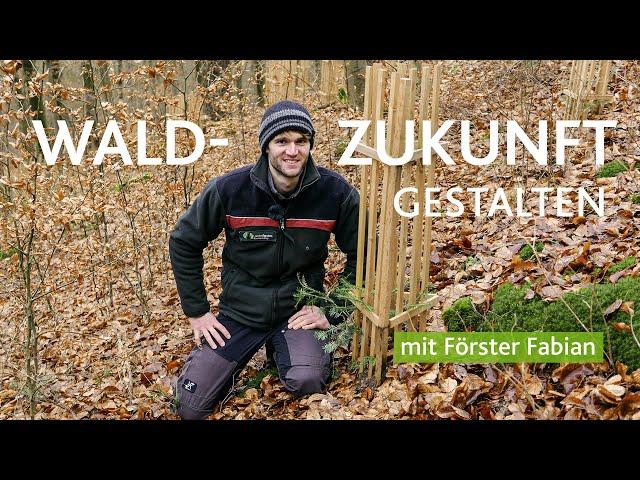 Den Wald der Zukunft gestalten mit Förster Fabian