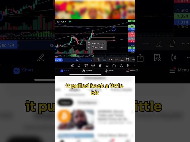 We bought $WLD at the bottom and now we're on top of the WORLD 