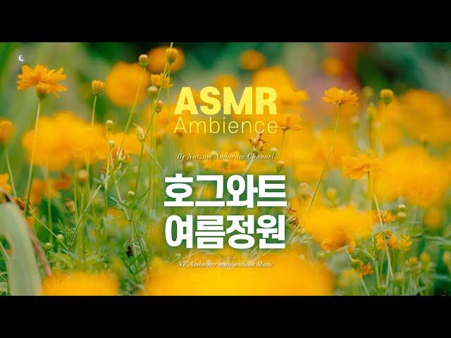 헤르미온느와 론, 해리 그리고 대왕오징어가 빈들거리는 오후[호그와트 여름정원] ASMR