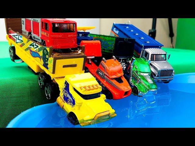 Coches y Camiones Transportadores - Carros para Niños - Colección de Juguetes Infantiles