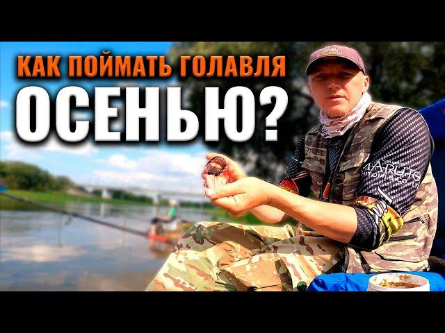 Как поймать голавля фидером? Рыбалка на осенней реке